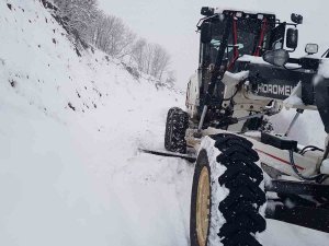 Bingöl’de 138 Köy Yolu Ulaşıma Kapandı