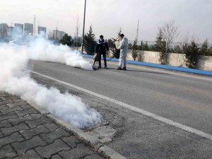 Talas’ta Sinek Ve Haşerata Erken Önlem