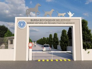 Can Dostlara Rehabilitasyon Merkezi