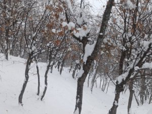 Batmanda 80 Köy Yolu Kar Yağışı Nedeniyle Ulaşıma Kapandı