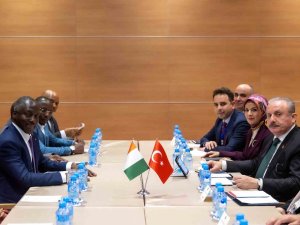 Tbmm Başkanı Şentop, Fildişi Sahilli, Ummanlı Ve Burkina Fasolu Mevkidaşları İle Görüştü