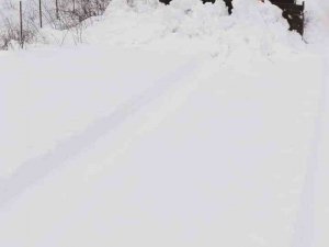 Tunceli’de Kapalı Köy Yollarının Büyük Bölümü Ulaşıma Açıldı