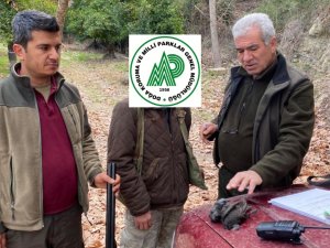 Yasa Dışı Avcılık Yapan 4 Şahsa Cezai İşlem Uygulandı
