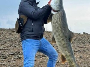 Amatör Balıkçı, Oltayla 1.16 Metre Uzunluğunda Turna Balığı Tuttu