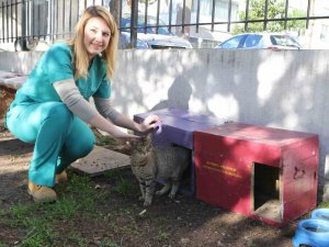 Bayraklı Belediyesi Can Dostları Unutmadı