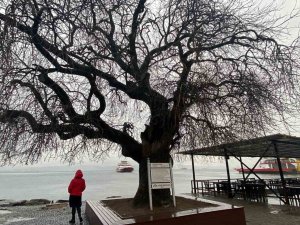 İ̇zmit Körfezi’nin Dibinde, 4 Buçuk Asırdır Ayakta Duruyor