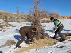 Siirt’te Yaban Hayvanları Unutulmadı, Birçok Noktaya Yem Bırakıldı