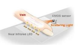 Damarınız kimliğinizi ele verecek!