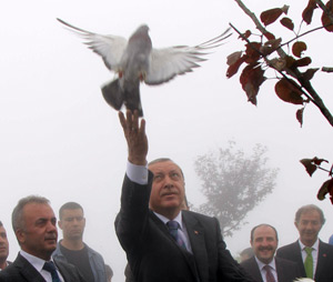 Erdoğan: Bahçeli Edep Sınırlarını Aştı VİDEO İZLE