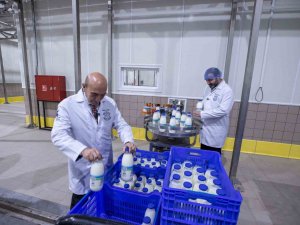 Bayındır Süt İ̇şleme Fabrikasında Test Üretimi Başladı