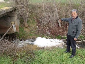 Köylülerden Çevre Kirliliği Tepkisi, Atık Su Arıtma Tesisinin Çalışmadığı İddiası