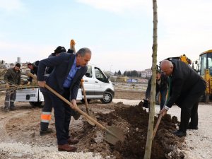 Koru Parkta Ağaç Dikimine Başlandı
