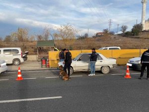 Kastamonu’da Uyuşturucu Arama Köpeği "Ceku" İle Denetimler Devam Ediyor