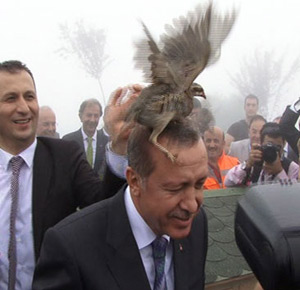 Erdoğan'ın Başına Keklik Kondu VİDEO İZLE