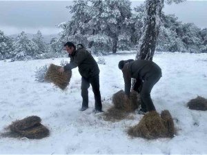 Kütahya Obm’den Yaban Hayvanlarına Yem Desteği