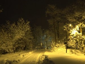 Muş’ta Karla Gelen Güzellik