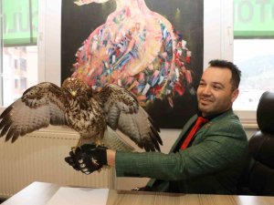 Yaralı Bulduğu Şahine ‘Tofaş’ Adını Verdi