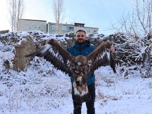 Uçamayan Kartalı Arabasına Alıp Tedavi İçin İlçeye Getirdi
