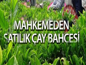 Rize'de çay bahçesi ve üzerindeki taşınmazlar icradan satılıktır