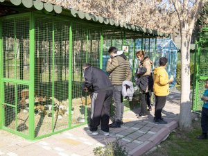 Yarıyıl Tatilinde Tarsus Doğa Parkı’na Yoğun İlgi