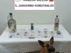 Jandarmadan Uyuşturucu Partisine Baskın