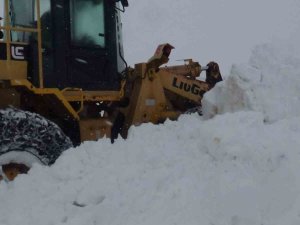 Batman’da Kar Yağışı Etkili Oldu: Köy Yolları Ulaşıma Kapandı