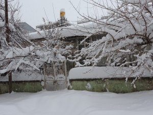 Bitlis’te Tek Katlı Evler Ve Arabalar Kara Gömüldü
