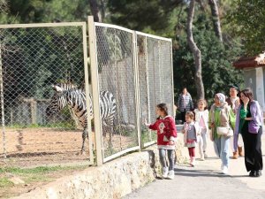 127 Türde Hayvana Ev Sahipliğini Yapan Yaşam Parkına Yoğun İlgi