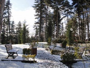 Anadolu Üniversitesi Beyaza Büründü
