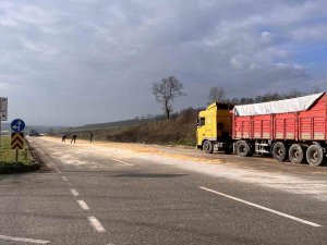Kamyonun Kapağı Açıldı, Yol Mısırla Kaplandı