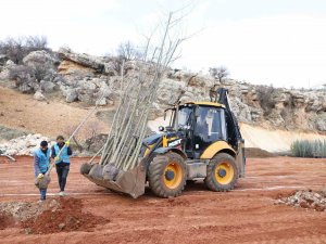 Eğil’de Peyzaj Çalışmaları Başladı