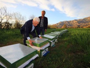 Muğlalı Bal Üreticisine Büyükşehir’den Destek