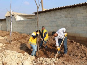 Farklı Bölgelerde Ağaçlandırma Çalışması Yapılıyor