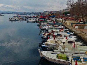 Karides Yasağı Bu Gece Bitiyor