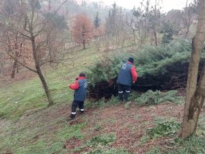Düzce’yi Park Ve Bahçeler Güzelleştiriyor