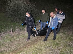 Zeytin Bahçesinde Kafatası Ve Kemik Parçaları Bulundu