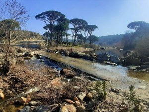 Ekodosd Susuzluğa Dikkat Çekti