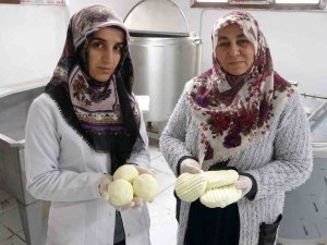 Gelin Kaynana El Ele Verdi, Peynir Üretip Satıyorlar