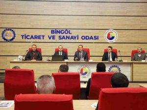 Bingöl’de Arı Yetiştiricileri Ve Bal Üreticileri Çalıştayı Düzenlendi