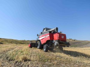 Altındağ’da Çiftçilere Tohum Desteği