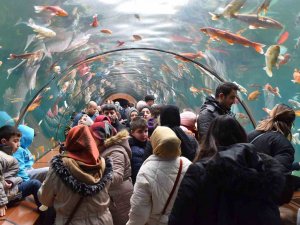 Yıldırım’da Tünel Akvaryumu 10 Günde 40 Bin Kişi Ziyaret Etti