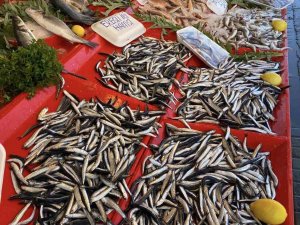 Balıkçılar Hamsi Bolluğu İçin Soğuk Havayı Bekliyor