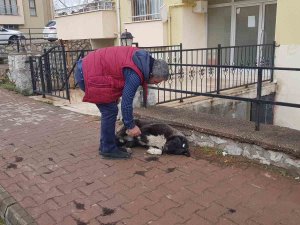 Kendisine İki Gün Yiyecek Veren Esnafa Vefasını Böyle Gösteriyor