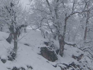 Batman’da Kar Kalınlığı 80 Santimi Geçti, 50 Yerleşim Yeri Yolu Ulaşıma Kapandı