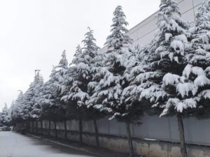 Dilovası’nda Kar Yağışı Etkili Oldu