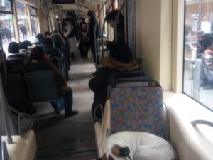 Tramvayda Yolculuk Ederek Soğuktan Kaçındılar