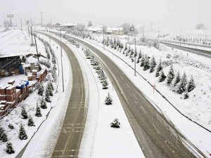 Kavak Beyaz Gelinliği Giydi