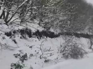 Kocaeli’nin Yüksek Kesimleri Beyaza Büründü