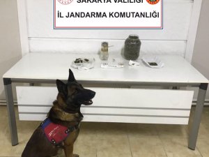 Jandarma Uyuşturucuya Geçit Vermiyor: 2 Gözaltı