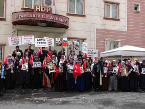 9 Yaşında Çobanlık Yaparken Kaçırılan Ağabeyini Pkk’dan İstiyor